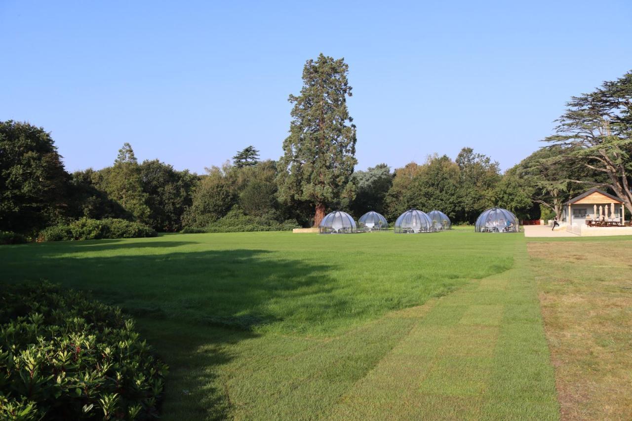Orange Grove Hotel & Gardens Sarisbury Green Exteriör bild